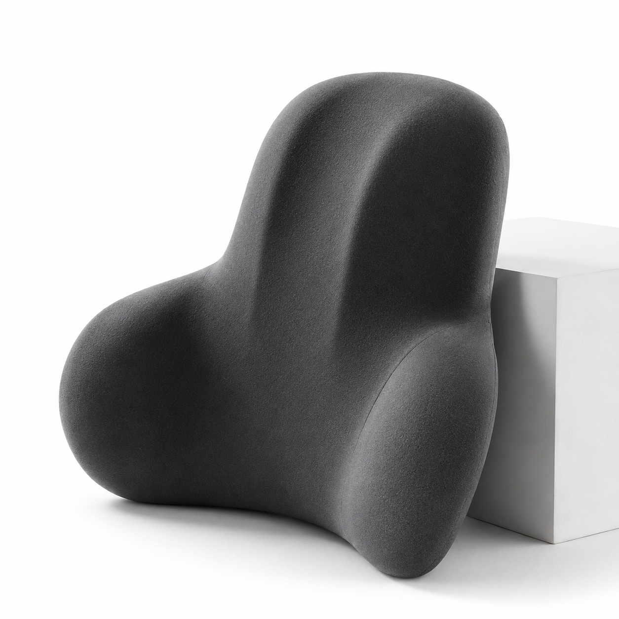 ErgoRescue™ Professional Lumbar Stabilization System