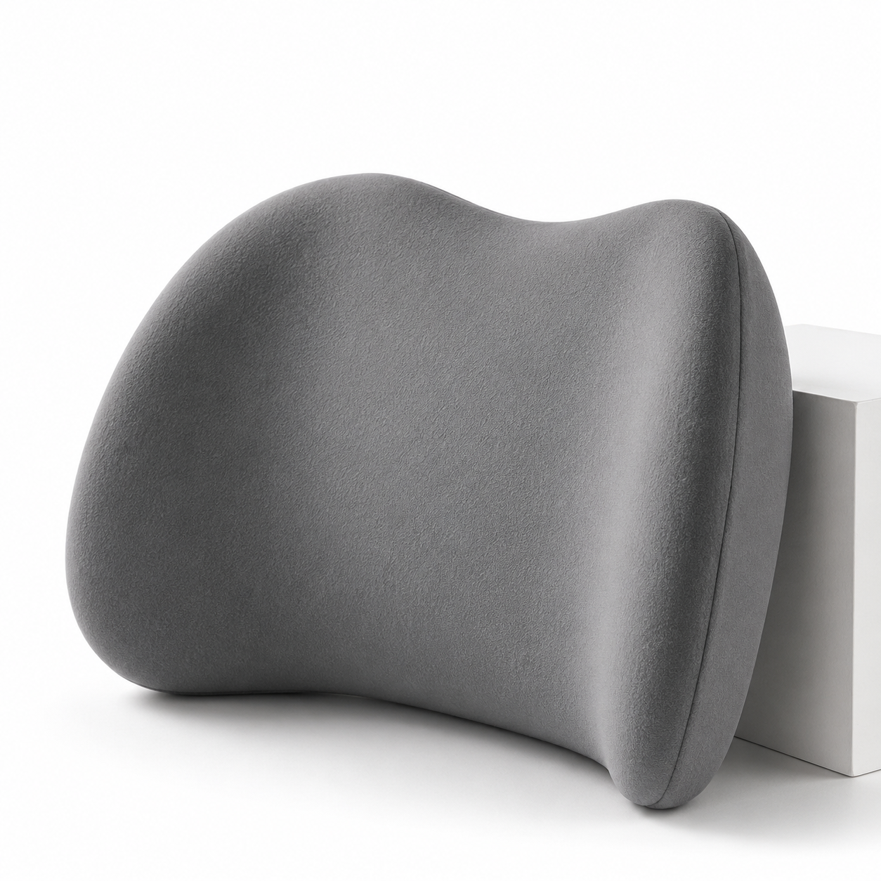 ErgoRescue™ Professional Lumbar Stabilization System
